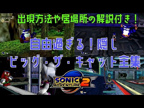 [いくつ知ってる？]ソニックアドベンチャー2ビッグ・ザ・キャット全集[字幕解説付き]