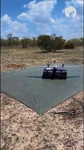 Project Gaia: the brainchild of Veriphy in collaboration with Chisl, and implemented across Timbavati Nature Reserve and Sabi Sand Nature Reserve. Project Gaia is an AI and drone-powered game census across 100 000ha of the Timbavati and Sabi Sand Reserve. The purpose is clear: to optimise animal detection, reduce survey costs, minimise environmental disturbance, and produce more reliable, evidence-based wildlife estimates. Survey scale in numbers: • 100,000 hectares surveyed over 5 days • 55% of