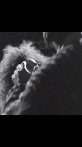 Kashif - Love Changes - 1987 | Emotion minha rádio