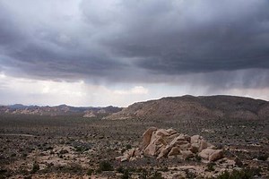 Nature Minute Series - Joshua Tree National Park (U.S. National Park Service)