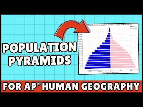 Population Pyramids - Explained (AP Human Geography)