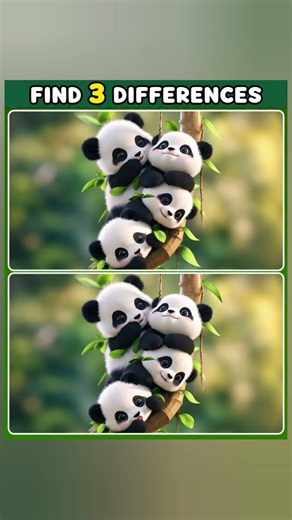 🐼 Can You Find 3 Differences? 🧐 Only 1% Can Spot All Three! #Shorts#puzzle #braingames