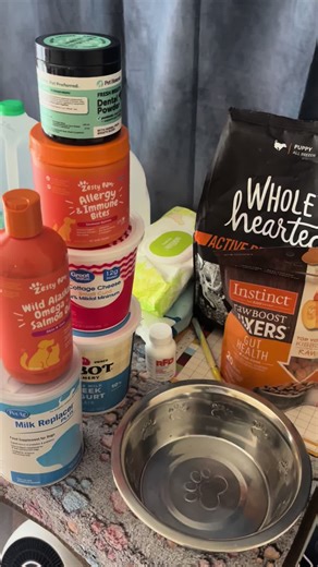 This is what I’m feeding my nursing dog (Chanel) ! #standardpoodle #standardpoodlepuppies #rvadogs #dogbreeder #fyp
