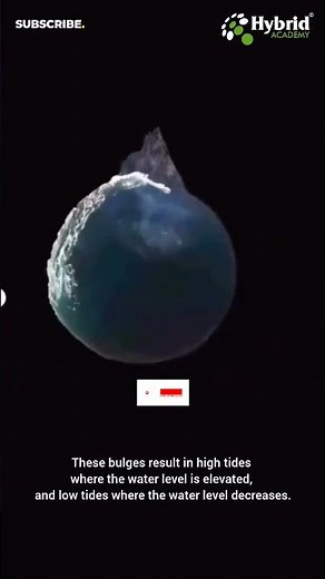 How are High Tides and Low Tides created with effect of Moon's gravity #tides #moon