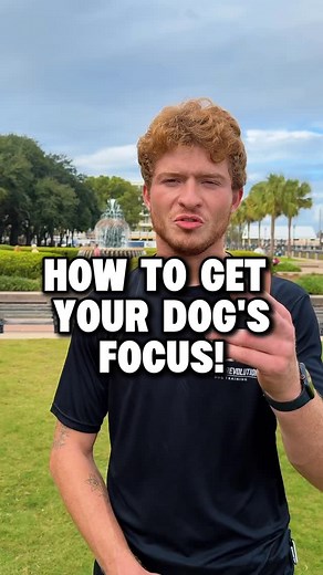 How to build your dog’s focus on you! Do several sessions like Trainer Danny demonstrates and your dog’s focus will be laser locked on you 💪 If you’re looking for more in-depth dog training content, go to our YouTube channel where we have tons of dog training how-to videos available to watch right now. Head to the link in bio 🔥 #dogs #dogtraining #dogtrainer #dogtrainingtips #dogtrainingadvice | Canine Revolution Dog Training