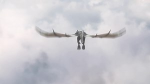 Realistic Dragon Flying In Sky  Stock Motion Graphics SBV-337755505 - Storyblocks