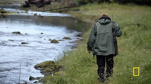 5.9K views · 85 reactions | Mary encounters signs of black bear while hunting for a deer. New episodes of Port Protection and #LifeBelowZero Next Generation air Tuesday nights starting at 8/7c on National Geographic. | National Geographic TV | Facebook