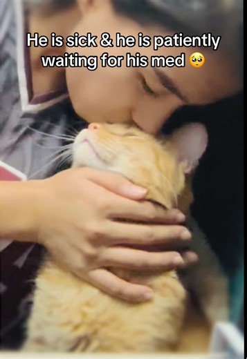 Scottie Boo is Sick and Waiting for Medicine