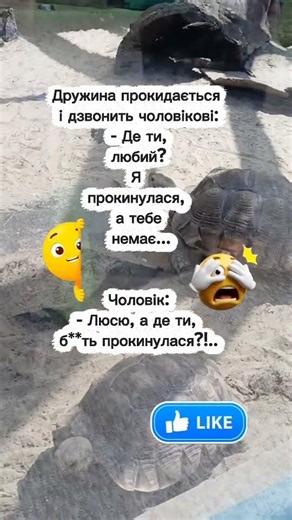 Життєві діалоги #сатира #shortsua #анекдот