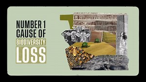 45K views · 284 reactions | Hungry to make an impact in the new year? Start with what's on your plate! What and how we eat has a direct impact on our planet. Food production is the single biggest threat to nature today. The good news is, there ARE ways to feed the world without eating away at our planet in the process. Watch our video below for more. #WWFUntangled #PlanetBasedDiet | WWF | Facebook
