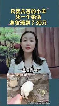 Explore the Diverse Facets of Modern Society