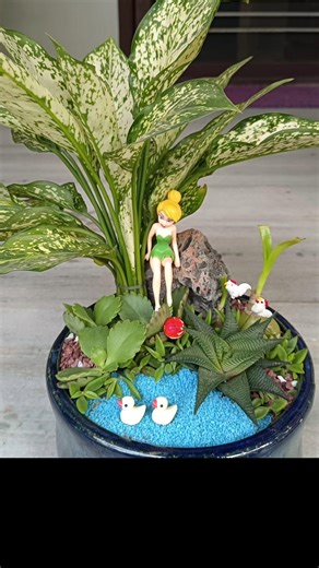 Fairy tray garden.Small space, big imagination.A magical mini garden idea perfect for plant lovers🧚✨