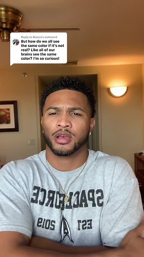 Understanding the Concept of Qualia in Color Science and STEM