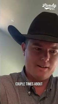 Auctioneer Championship: The Ultimate 'A League of Their Own'! #shorts