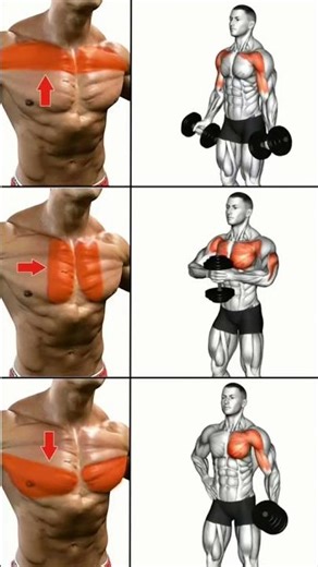 3 Chest Exercises Only 💪 Build Bigger Chest Fast (Home & Gym Pump Workout)