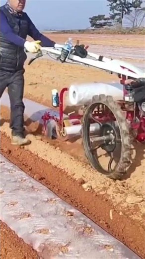 The process of installing a plastic on a large farmland by a farmer