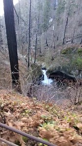 Overlook of Punchbowl Falls, a popular waterfall in Oregon, along the Eagle Creek Trail. Have you hiked here? | The Nature Seeker