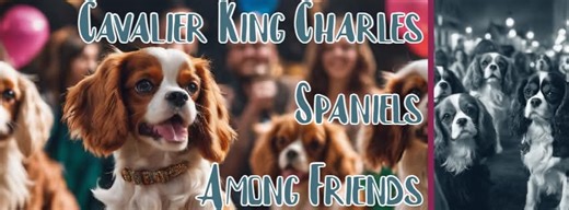 Cavalier King Charles Spaniels Among Friends | Are anyone’s Cav’s hard of hearing | Facebook