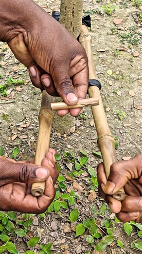 You won't believe that these ancient traps still work! #trab #trabtrick