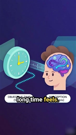 Why Time Feels Faster as You Grow Older