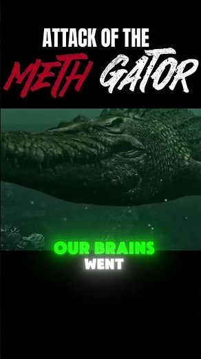 Why Is Attack of the Meth Gator So Much Fun?