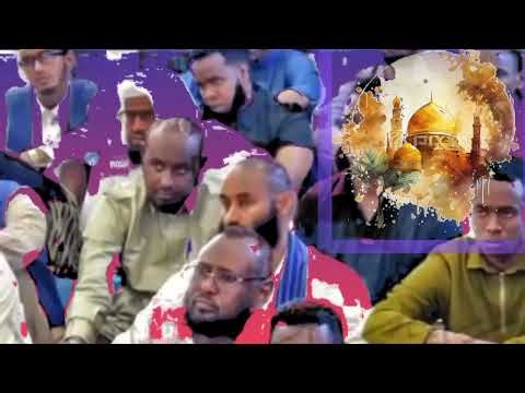 waa maxay way na qabsatay oo diintii Alle waynu ka tagnay, wixii Alle falayna waanu ka gaalaynay