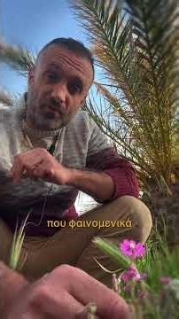 Ανθοϊαμα για να ξεπεράσουμε τον διαχωρισμό και τις αντιπαλότητες - Diamond Age Essences -