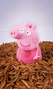 🐛 Mealworms vs. Everything 😂 | WormLapse