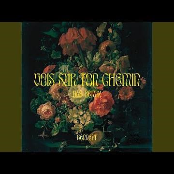 Vois sur ton chemin (DnB Remix)