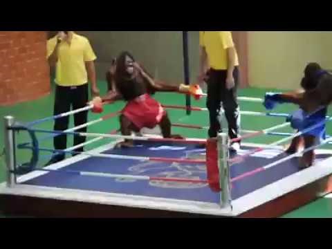 Pelea de Changos Graciosa😂