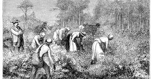 Comparing The Irish To African American Slaves Is Prejudiced