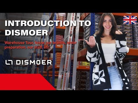 INTRODUCTION TO DISMOER: WHO ARE WE?