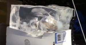 TWC Tests M855A1: Yes, It's The Real Deal