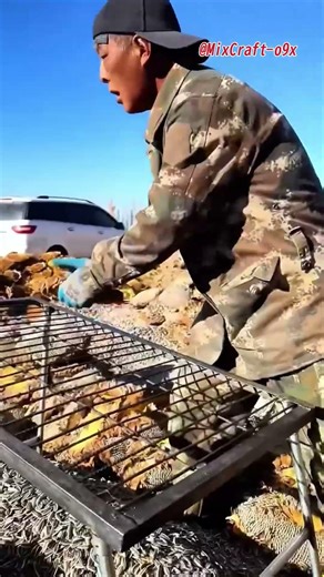 Sunflower Seed Harvest: Mechanical Efficiency, Manual Precision! #mixcraft