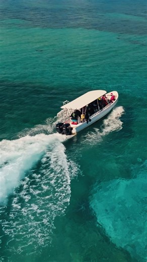 Paradise is more than a hotel — it’s a complete experience 🌴✨ From family moments at the playground , relaxing days by the pool, unforgettable flavors at Cayuco Restaurant, to ocean adventures with Paradise Beach Divers 🤿🌊 Here, every moment feels like paradise. 🌞💙 🏝️👉🏻 𝐏𝐀𝐂𝐊𝐀𝐆𝐄𝐒 ⛱️ Bed & Breakfast or (All Inclusive Premium) 🛫 Book at: www.paradisehotels.com ✅ WhatsApp: 504 9420-3653 📞 Call Us: 1 (800) 407-1854 | (504) 2408-4670 Paradise es más que un hotel: es una experiencia c