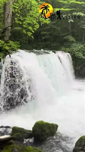 Relaxing Jungle Water Sounds 🌴 | Best Focus & Study Background