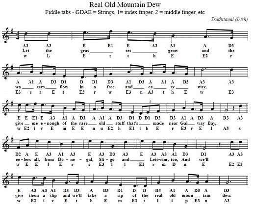 The Rare Old Mountain Dew Sheet And Tin Whistle Music