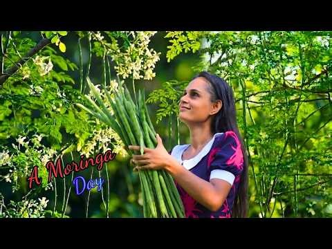 I Spent a Full Day Cooking ONLY Moringa! and yellow fruit salad🌿 Sri Lankan Superfood Recipes