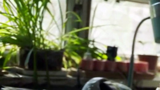 Chernobyl Season 1 Episode 2 [1080p]