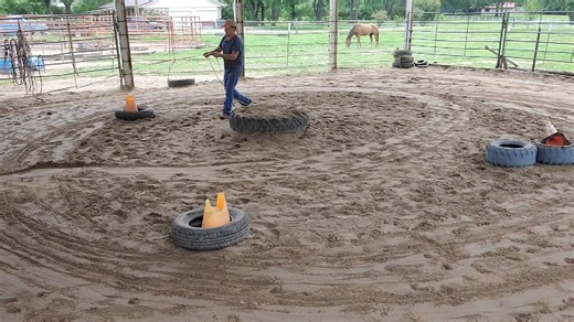 Help them learn the routine | Eddie Landers-Horses