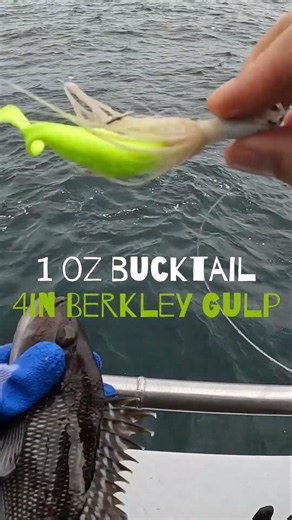 Bucktail+Gulp=Bass #fishing #seabass