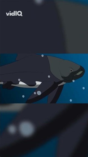 Titanichthys: The Devonian's Giant Filter Feeder!