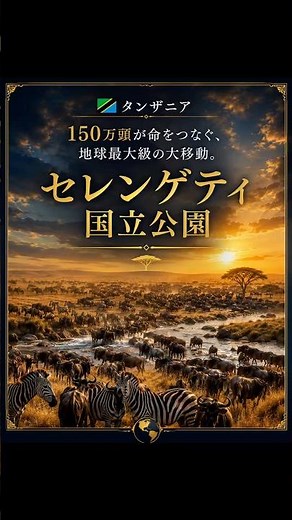 【世界遺産】150万頭が命をつなぐ、地球最大級の奇跡。セレンゲティ国立公園🦁🌍 #shorts