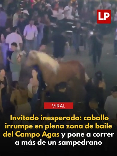 🐎😂 Ni la pista de baile se salvó: Un caballo se metió al Campo Agas mientras bailaban y anduvo paseándose entre la gente como si anduviera buscando mesa VIP, sacando uno que otro susto entre los sampedranos. #NoticiasHonduras #Viral #FeriaJuniana #Noticias #Honduras #CampoAgas