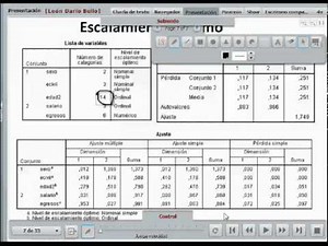 Optimal scaling1.avi