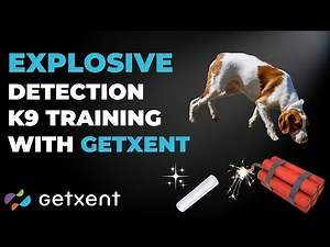 Explosive detection K9 training | GETXENT
