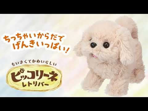 ピッコリーネ レトリバー