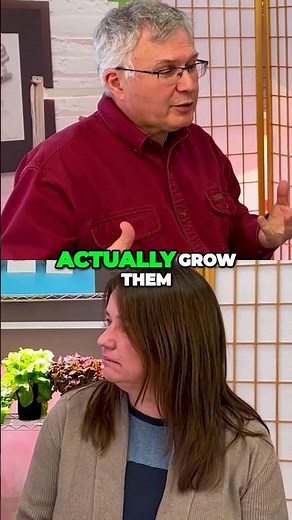 Optimal lighting for seedlings | Indoor gardening FAQ's