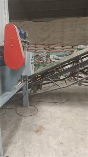 Inside a Massive Pellet Production Line | Wood & Feed Pellets Non-Stop #pelletmachine #pelletmill