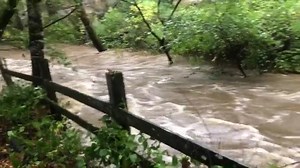 27K views · 428 reactions | MORE FLOODING: Video shows what a KRON4 viewer woke up to this morning in Marin County. She safely evacuated as precaution. More viewer videos: https://bit.ly/3CiFbqI | KRON 4 News | Facebook